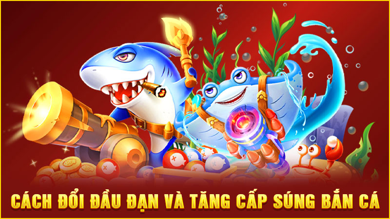 cách đổi đầu đạn và tăng cấp súng bắn cá