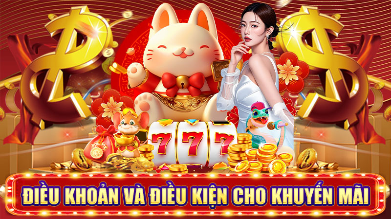 điều khoản và điều kiện cho khuyến mãi