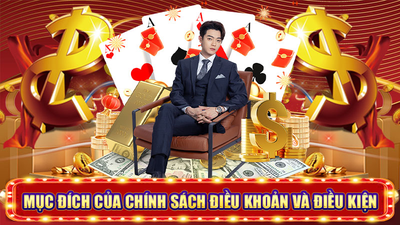 mục đích của chính sách điều khoản và điều kiện