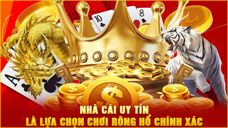 nhà cái uy tín là lựa chọn chơi rông hổ chính xác