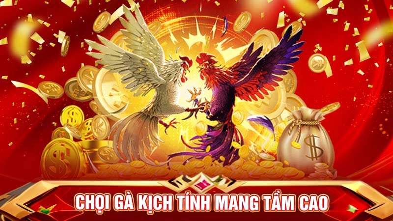 đá gà sodo casino tầm cao mới